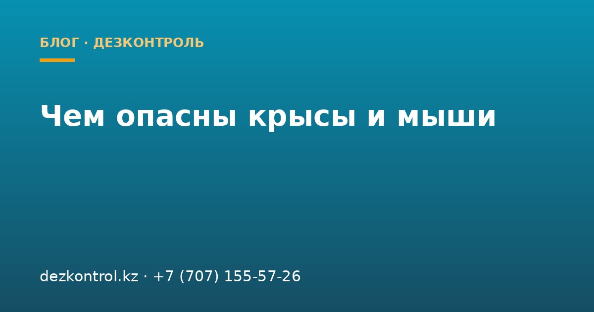 Чем опасны крысы и мыши: какие болезни переносят грызуны