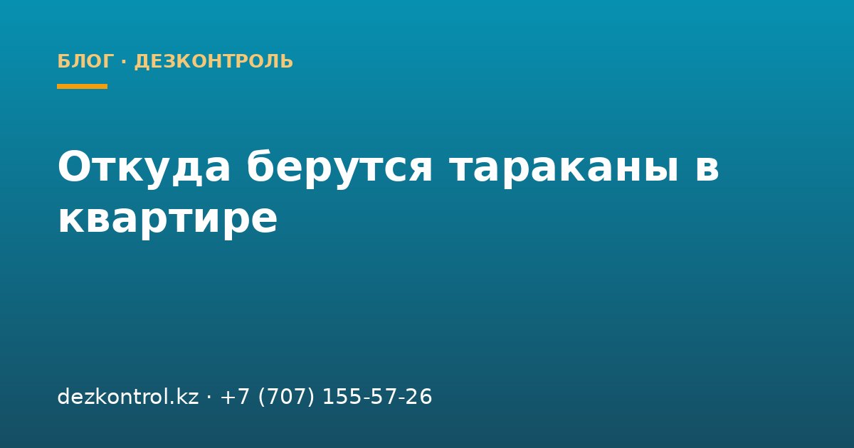 Откуда берутся тараканы в квартире и как они попадают в дом