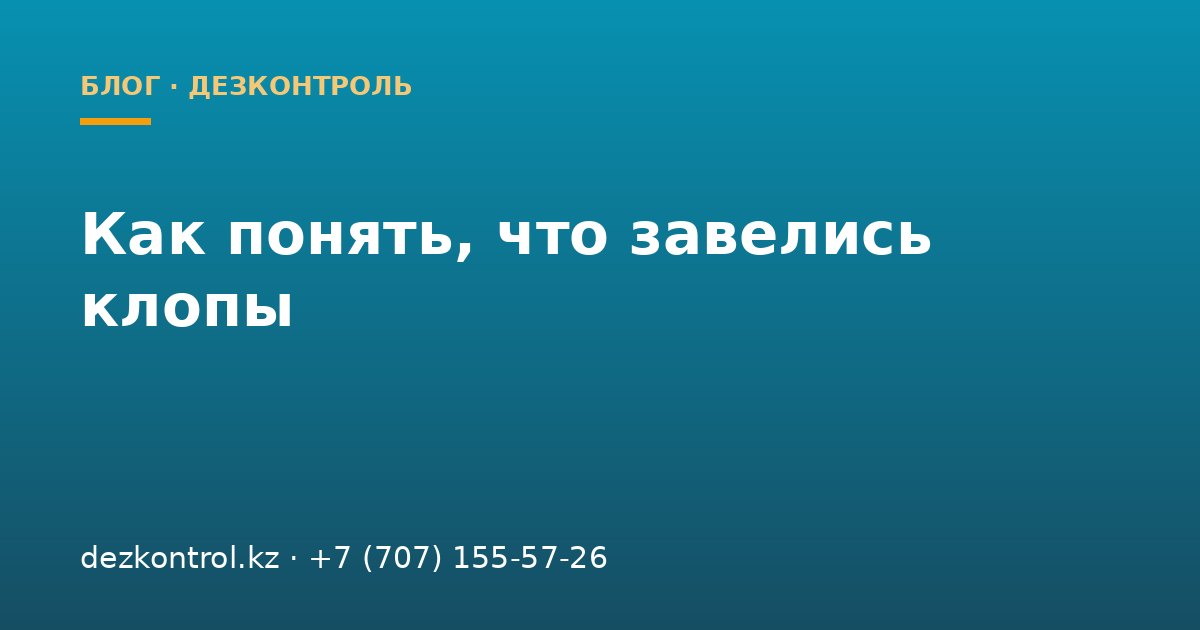Как понять, что завелись клопы: первые признаки, укусы и места обитания